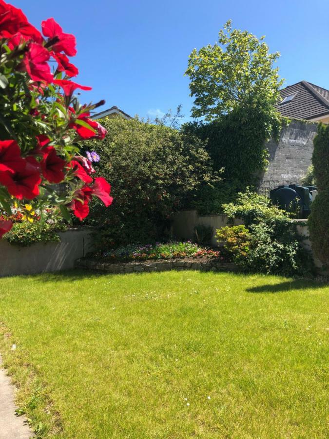 Amber Heights Bed & Breakfast Galway Exterior photo